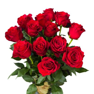 Red roses 13 pieces
