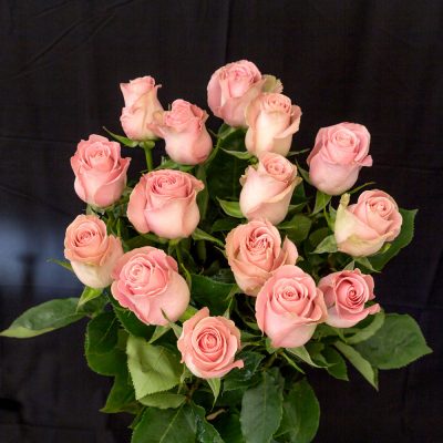 Mazzo di rose Hermosa 15 pz