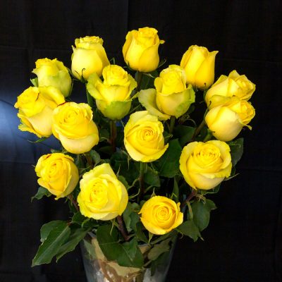 Gelbe Rosen 15 Stück