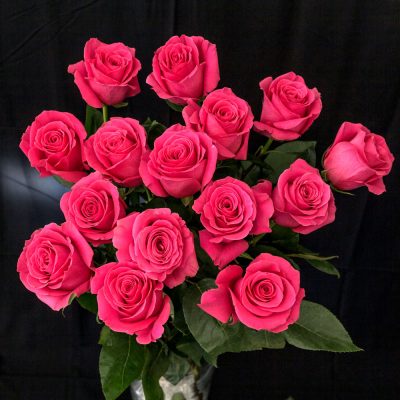 Pink roses 15 pieces