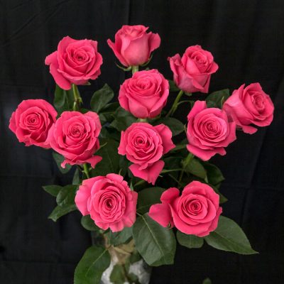 Pink farbige Rosen 11 Stück